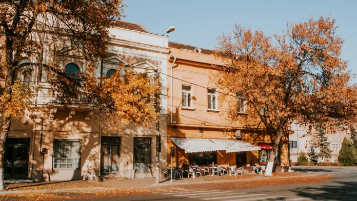city street autumn
