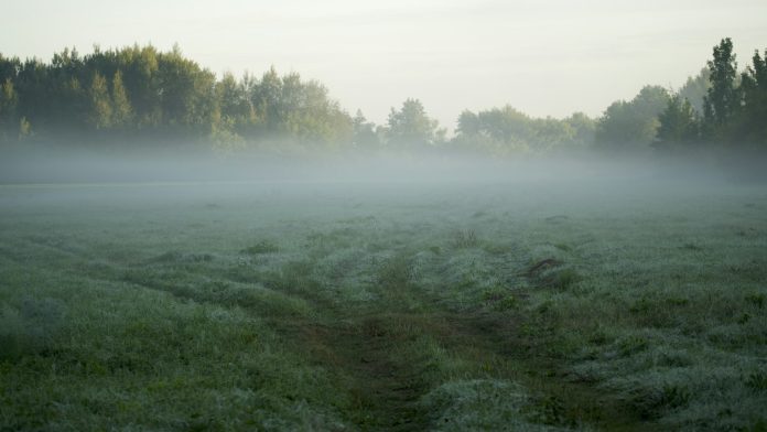 fog morning